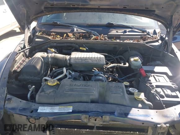 ✅ 2004 Dodge Dakota Sport • VIN: 1D7HL38N64S565249 • Lot: 43610102. Wystawiony na IAAI z przebiegiem 163 708 mil. Bezpłatny archiwum sprzedaży aukcyjnych z USA i szczegółowy raport historii pojazdu na DreamBid. Zdjęcie 10.