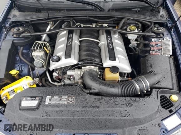 ✅ 2005 Pontiac GTO • VIN: 6G2VX12U15L381992 • Lot: 74657644. Listed on Copart with 21,995 mi. Free auction sales archive from the USA and detailed vehicle history report at DreamBid. Image 11.