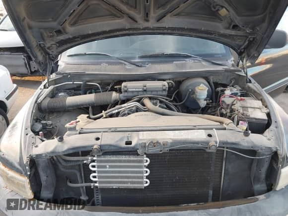 2000 Dodge 1500 с VIN 1B7HC13Y4YJ171261, выставлен на аукционе IAAI как лот 43596812 с пробегом 178 320 миль миль и . История ставок и продаж доступна на DreamBid. Изображение 10.