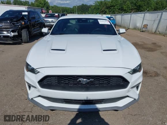 ✅ 2023 Ford Mustang EcoBoost • VIN: 1FA6P8TH3P5105186 • Лот: 42443307. Опубликован ранее на IAAI с пробегом 51 595 миль. Бесплатный доступ к архиву аукционных продаж из США и подробный отчёт об истории автомобиля на DreamBid. Изображение 12.
