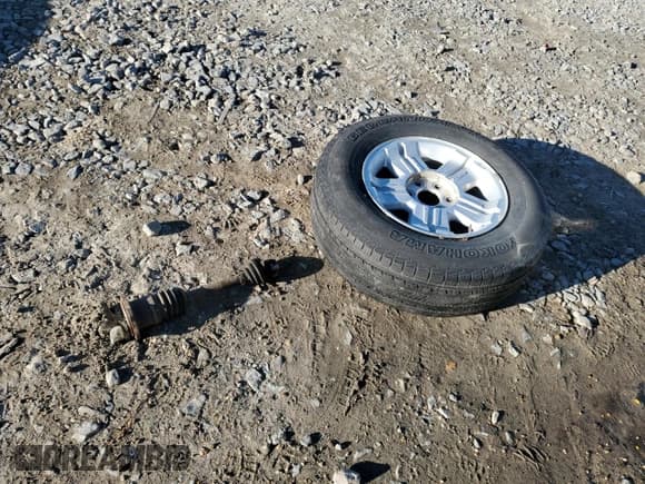 ✅ 2009 Chevrolet Silverado 1500 • VIN: 1GCEK24059Z143265 • Лот: 89331855. Опубликован ранее на Copart с пробегом 195 735 миль. Бесплатный доступ к архиву аукционных продаж из США и подробный отчёт об истории автомобиля на DreamBid. Изображение 12.