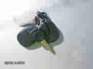 2012 Chevrolet Traverse 1LT с VIN 1GNKRGED2CJ216277, выставлен на аукционе IAAI как лот 43322716 с пробегом 190 167 миль миль и . История ставок и продаж доступна на DreamBid. Изображение 11.