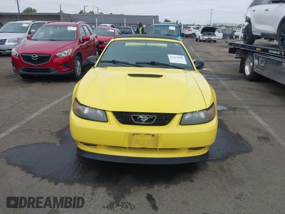 ✅ 2001 Ford Mustang Deluxe • VIN: 1FAFP44451F131472 • Lot: 42119006. Listed on IAAI with 63,388 mi. Free auction sales archive from the USA and detailed vehicle history report at DreamBid. Image 13.