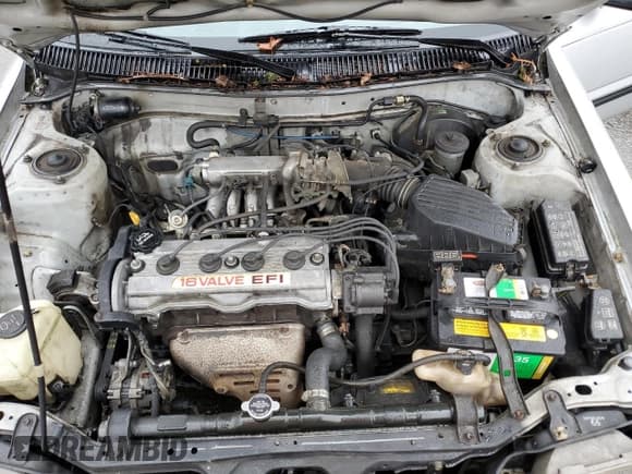 ✅ 1991 Toyota Corolla • VIN: JT2AE94K2M3468301 • Lot: 45797105. Listed on Copart with 284,515 mi. Free auction sales archive from the USA and detailed vehicle history report at DreamBid. Image 11.