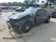 ✅ 2006 Ford Mustang Standard • VIN: 1ZVFT80NX65224073 • Lot: 55227215. Listed on Copart with 231,218 mi. Free auction sales archive from the USA and detailed vehicle history report at DreamBid. Image 1.