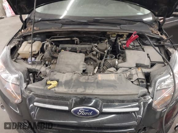 ✅ 2014 Ford Focus Titanium • VIN: 1FADP3J29EL315924 • Lot: 43728139. Listed on IAAI with 78,540 mi. Free auction sales archive from the USA and detailed vehicle history report at DreamBid. Image 10.