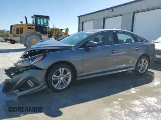 2019 Hyundai Sonata SEL с VIN 5NPE34AF5KH775424, выставлен на аукционе Copart как лот 81421505 с пробегом Не указан миль и Списание • Salvage title. История ставок и продаж доступна на DreamBid. Изображение 1.