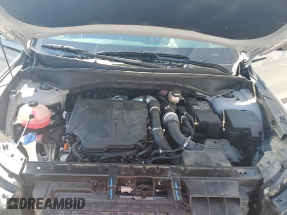 ✅ 2023 Kia Sorento SX • VIN: 5XYRKDLF6PG171851 • Лот: 86260985. Опубликован ранее на Copart с пробегом 16 745 миль. Бесплатный доступ к архиву аукционных продаж из США и подробный отчёт об истории автомобиля на DreamBid. Изображение 12.