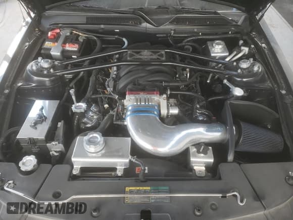 ✅ 2006 Ford Mustang GT Deluxe • VIN: 1ZVFT82H265257057 • Лот: 86852275. Опубликован ранее на Copart с пробегом 20 822 миль. Бесплатный доступ к архиву аукционных продаж из США и подробный отчёт об истории автомобиля на DreamBid. Изображение 11.