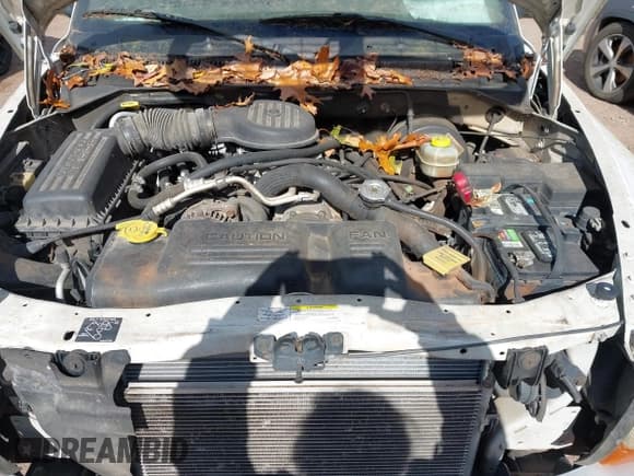 ✅ 2002 Dodge Durango • VIN: 1B4HS58Z12F200749 • Lot: 43653933. Wystawiony na IAAI z przebiegiem 285 363 mil. Bezpłatny archiwum sprzedaży aukcyjnych z USA i szczegółowy raport historii pojazdu na DreamBid. Zdjęcie 10.