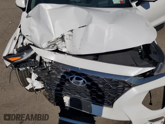 ✅ 2020 Hyundai Santa Fe Limited • VIN: 5NMS5CAA4LH183426 • Lot: 62636334. Listed on Copart with 47,095 mi. Free auction sales archive from the USA and detailed vehicle history report at DreamBid. Image 14.