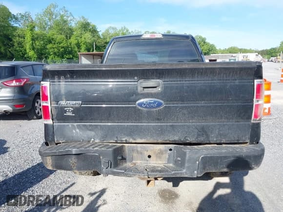 ✅ 2010 Ford F-150 XL • VIN: 1FTEX1EW2AFA18163 • Lot: 42295077. Listed on IAAI with 217,430 mi. Free auction sales archive from the USA and detailed vehicle history report at DreamBid. Image 16.