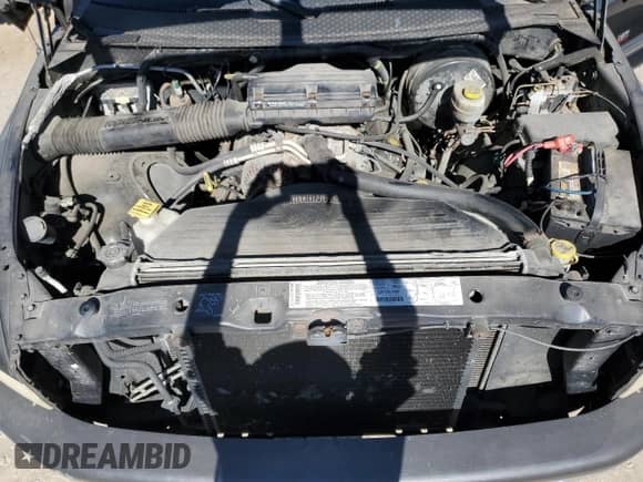 2001 Dodge 1500 z VIN 3B7HC13Y31G199091, wystawiony jako Copart lot #74186904 z przebiegiem 140 674 mil mil oraz Czysty tytuł • Clean title. Historia ofert i sprzedaży dostępna na DreamBid. Obrazek 11.