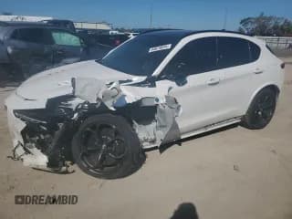 ✅ 2019 Alfa Romeo Stelvio Quadrifoglio • VIN: ZASPAKEV5K7C46796 • Lot: 44673644. Listed on Copart with 43,130 mi. Free auction sales archive from the USA and detailed vehicle history report at DreamBid. Image 1.
