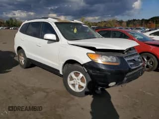 ✅ 2007 Hyundai Santa Fe GLS • VIN: 5NMSG73D17H003169 • Lot: 75385524. Listed on Copart with 214,049 mi. Free auction sales archive from the USA and detailed vehicle history report at DreamBid. Image 4.