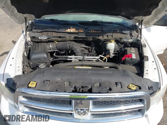 ✅ 2009 Dodge 1500 Laramie • VIN: 1D3HV13T49J526520 • Lot: 42199548. Wystawiony na IAAI z przebiegiem 149 113 mil. Bezpłatny archiwum sprzedaży aukcyjnych z USA i szczegółowy raport historii pojazdu na DreamBid. Zdjęcie 10.