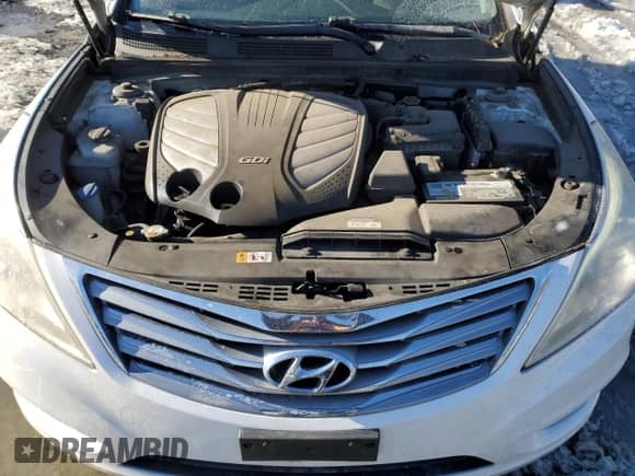 2013 Hyundai Azera с VIN KMHFH4JG1DA260005, выставлен на аукционе Copart как лот 41666765 с пробегом 253 129 миль миль и Чистый • Clean title. История ставок и продаж доступна на DreamBid. Изображение 11.