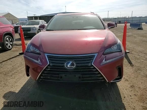 ✅ 2019 Lexus NX 300h • VIN: JTJBJRBZ3K2104153 • Lot: 54352025. Wystawiony na Copart z przebiegiem 74 340 mil. Bezpłatny archiwum sprzedaży aukcyjnych z USA i szczegółowy raport historii pojazdu na DreamBid. Zdjęcie 14.