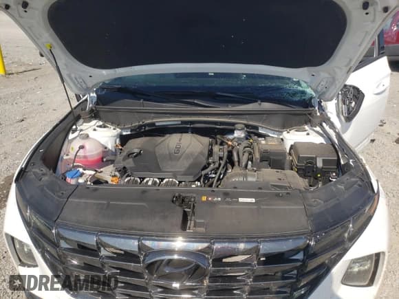 ✅ 2023 Hyundai Tucson Limited • VIN: KM8JE3AE3PU177092 • Lot: 68080014. Wystawiony na Copart z przebiegiem 15 499 mil. Bezpłatny archiwum sprzedaży aukcyjnych z USA i szczegółowy raport historii pojazdu na DreamBid. Zdjęcie 12.