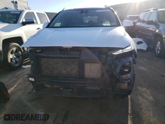 ✅ 2019 Hyundai Santa Fe Limited • VIN: 5NMS53AA3KH056925 • Lot: 41191703. Wystawiony na Copart z przebiegiem 78 203 mil. Bezpłatny archiwum sprzedaży aukcyjnych z USA i szczegółowy raport historii pojazdu na DreamBid. Zdjęcie 5.