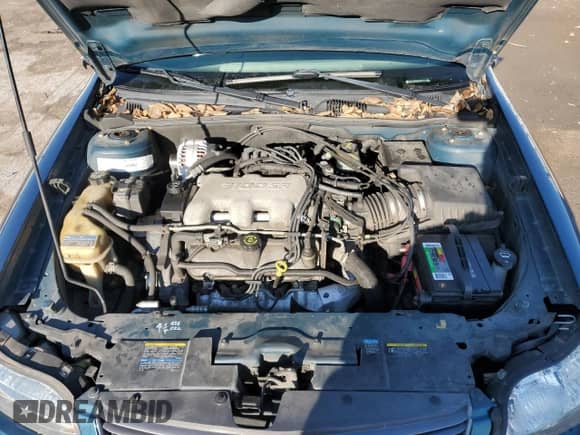 2002 Chevrolet Malibu z VIN 1G1ND52J22M575556, wystawiony jako Copart lot #72454774 z przebiegiem 58 441 mil mil oraz Szkoda całkowita • Salvage title. Historia ofert i sprzedaży dostępna na DreamBid. Obrazek 11.