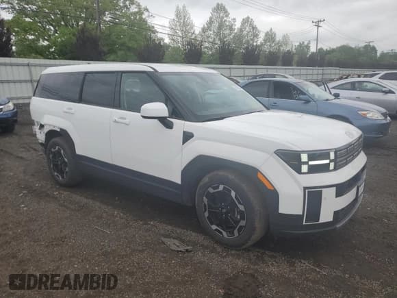 ✅ 2025 Hyundai Santa Fe SE • VIN: 5NMP1DGL4SH068808 • Lot: 57065365. Listed on Copart with 4,667 mi. Free auction sales archive from the USA and detailed vehicle history report at DreamBid. Image 4.