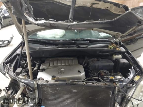 ✅ 2009 Lexus RX 350 • VIN: 2T2HK31U59C120777 • Лот: 43637009. Опубликован ранее на IAAI с пробегом 279 351 миль. Бесплатный доступ к архиву аукционных продаж из США и подробный отчёт об истории автомобиля на DreamBid. Изображение 10.