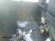 1998 BMW 3 Series 328i with VIN WBACD4329WAV61738, listed as a Copart auction lot 68561744 with Not provided miles and Salvage title. Bid and sale history available at DreamBid. Image 10.