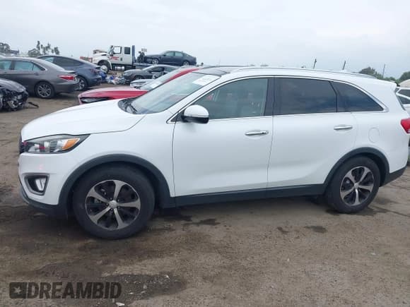 ✅ 2017 Kia Sorento EX • VIN: 5XYPH4A55HG317349 • Лот: 43249411. Опубликован ранее на IAAI с пробегом 143 685 миль. Бесплатный доступ к архиву аукционных продаж из США и подробный отчёт об истории автомобиля на DreamBid. Изображение 14.