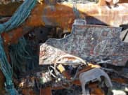 ✅ 2009 GMC Sierra 1500 SLT • VIN: 2GTEK19J291135936 • Lot: 41997872. Listed on IAAI with Not provided. Free auction sales archive from the USA and detailed vehicle history report at DreamBid. Image 7.