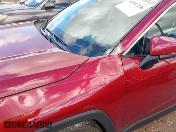 ✅ 2025 Toyota RAV4 XLE Premium • VIN: 2T3C1RFV6SW385130 • Lot: 43547246. Listed on IAAI with 9,477 mi. Free auction sales archive from the USA and detailed vehicle history report at DreamBid. Image 6.