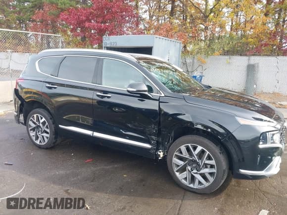 ✅ 2023 Hyundai Santa Fe Calligraphy • VIN: 5NMS5DALXPH657750 • Lot: 43637407. Listed on IAAI with 16,900 mi. Free auction sales archive from the USA and detailed vehicle history report at DreamBid. Image 6.