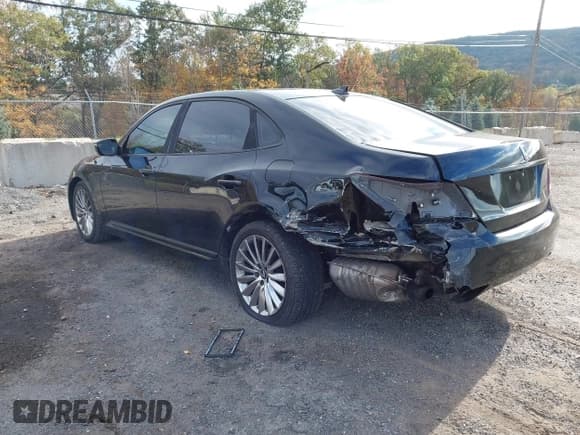 ✅ 2014 Hyundai Equus Signature • VIN: KMHGH4JH1EU074462 • Лот: 43450681. Опубликован ранее на IAAI с пробегом 161 746 миль. Бесплатный доступ к архиву аукционных продаж из США и подробный отчёт об истории автомобиля на DreamBid. Изображение 3.