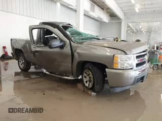 2008 Chevrolet Silverado 1500 Work Truck with VIN 1GCEC14X58Z124282, listed as a IAAI auction lot 41613967 with Not provided miles and . Bid and sale history available at DreamBid. Image 1.