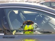 ✅ 2018 Ford Fusion Titanium • VIN: 3FA6P0SU7JR191820 • Lot: 42894692. Listed on IAAI with 40,542 mi. Free auction sales archive from the USA and detailed vehicle history report at DreamBid. Image 19.