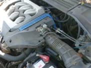 ✅ 1998 Acura CL Premium • VIN: 19UYA2256WL009251 • Lot: 43149141. Listed on IAAI with 176,424 mi. Free auction sales archive from the USA and detailed vehicle history report at DreamBid. Image 12.