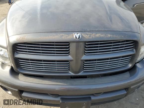 ✅ 2003 Dodge 1500 ST • VIN: 1D7HU16D13J645266 • Лот: 47756595. Опубликован ранее на Copart с пробегом 229 596 миль. Бесплатный доступ к архиву аукционных продаж из США и подробный отчёт об истории автомобиля на DreamBid. Изображение 11.