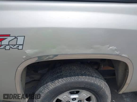 2007 Chevrolet Silverado 1500 1LT with VIN 2GCEK13M071568798, listed as a IAAI auction lot 42287095 with 308,994 mi miles and . Bid and sale history available at DreamBid. Image 18.