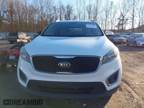 ✅ 2017 Kia Sorento LX • VIN: 5XYPGDA32HG285722 • Lot: 43904491. Listed on IAAI with 141,980 mi. Free auction sales archive from the USA and detailed vehicle history report at DreamBid. Image 12.