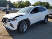 ✅ 2022 Hyundai Tucson SEL • VIN: 5NMJBCAE6NH154830 • Lot: 67425744. Wystawiony na Copart z przebiegiem Nie podano. Bezpłatny archiwum sprzedaży aukcyjnych z USA i szczegółowy raport historii pojazdu na DreamBid. Zdjęcie 1.