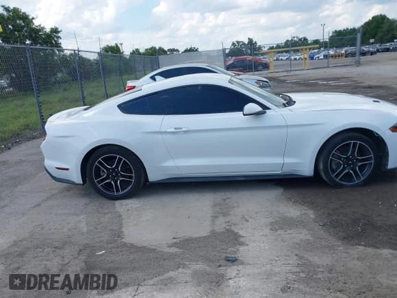 ✅ 2021 Ford Mustang EcoBoost • VIN: 1FA6P8TH6M5115299 • Lot: 42344897. Wystawiony na IAAI z przebiegiem 43 190 mil. Bezpłatny archiwum sprzedaży aukcyjnych z USA i szczegółowy raport historii pojazdu na DreamBid. Zdjęcie 13.