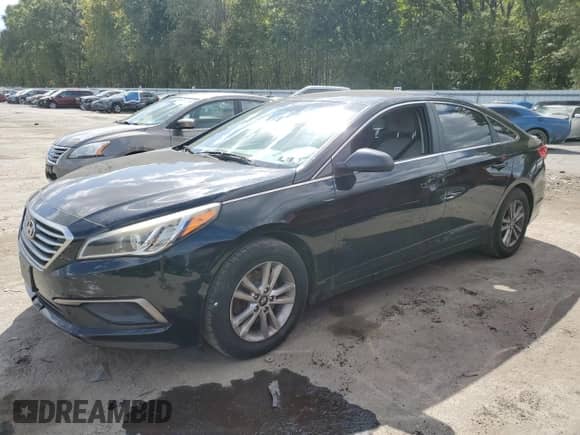 2016 Hyundai Sonata SE с VIN 5NPE24AF7GH314414, выставлен на аукционе Copart как лот 81593305 с пробегом 118 624 миль миль и Списание • Salvage title. История ставок и продаж доступна на DreamBid. Изображение 1.