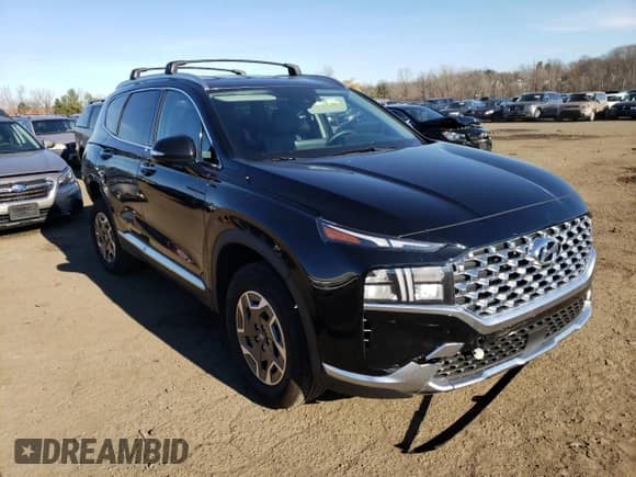 ✅ 2021 Hyundai Santa Fe Blue • VIN: KM8S2DA17MU006650 • Lot: 69803152. Wystawiony na Copart z przebiegiem 17 483 mil. Bezpłatny archiwum sprzedaży aukcyjnych z USA i szczegółowy raport historii pojazdu na DreamBid. Zdjęcie 4.