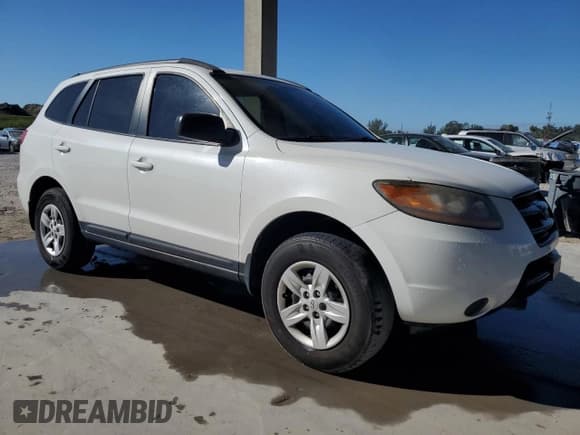 ✅ 2009 Hyundai Santa Fe GLS • VIN: 5NMSG13D89H273838 • Lot: 82145124. Listed on Copart with 130,417 mi. Free auction sales archive from the USA and detailed vehicle history report at DreamBid. Image 4.
