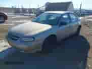 2002 Chevrolet Malibu z VIN 1G1ND52J82M687004, wystawiony jako IAAI lot #41379636 z przebiegiem 86 159 mil mil oraz . Historia ofert i sprzedaży dostępna na DreamBid. Obrazek 2.