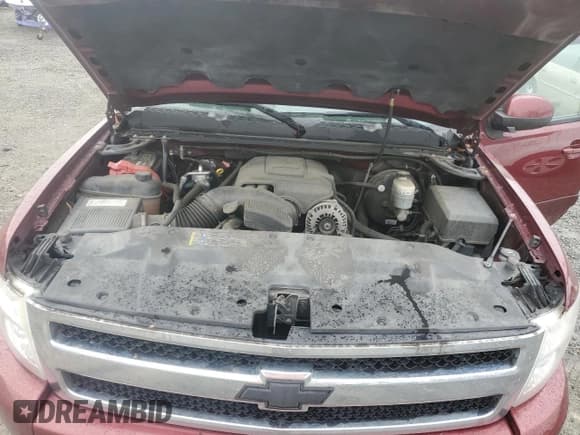 ✅ 2008 Chevrolet Silverado 1500 1LT • VIN: 1GCEK19J08Z182713 • Lot: 74433034. Listed on Copart with 173,599 mi. Free auction sales archive from the USA and detailed vehicle history report at DreamBid. Image 11.