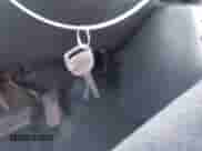 1999 Chevrolet Silverado 1500 LS with VIN 1GCEK19T0XE136967, listed as a IAAI auction lot 43402206 with Not provided miles and . Bid and sale history available at DreamBid. Image 11.