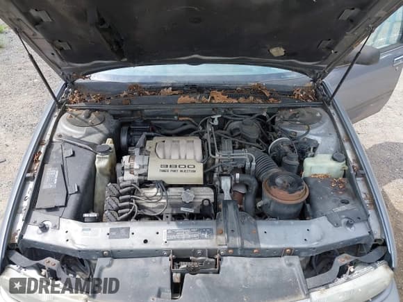 ✅ 1991 Buick Regal Custom • VIN: 2G4WB54L3M1884107 • Лот: 42943135. Опубликован ранее на IAAI с пробегом 30 159 миль. Бесплатный доступ к архиву аукционных продаж из США и подробный отчёт об истории автомобиля на DreamBid. Изображение 10.