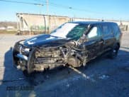 ✅ 2017 Ford Police Interceptor Utility • VIN: 1FM5K8AR6HGC87354 • Лот: 43659630. Опубликован ранее на IAAI с пробегом Не указан. Бесплатный доступ к архиву аукционных продаж из США и подробный отчёт об истории автомобиля на DreamBid. Изображение 2.