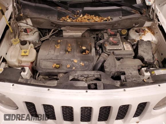 ✅ 2011 Jeep Patriot Latitude • VIN: 1J4NF1GB4BD177206 • Лот: 84401375. Опубликован ранее на Copart с пробегом 174 290 миль. Бесплатный доступ к архиву аукционных продаж из США и подробный отчёт об истории автомобиля на DreamBid. Изображение 12.